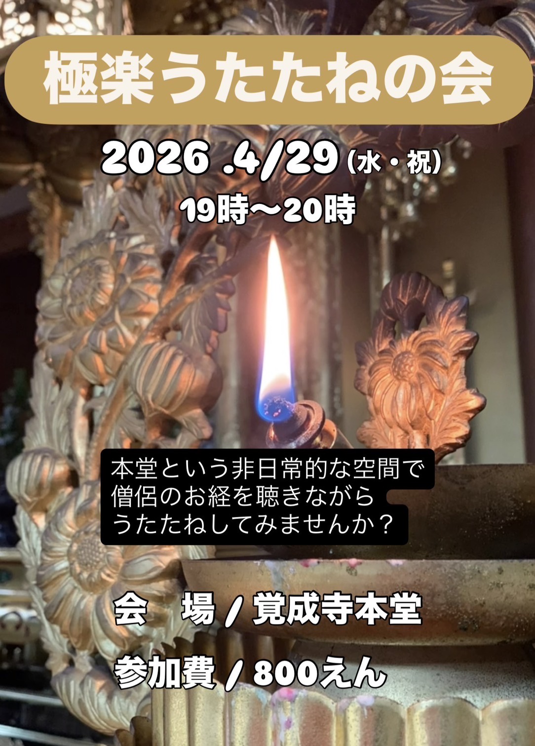 s__205668357.jpg